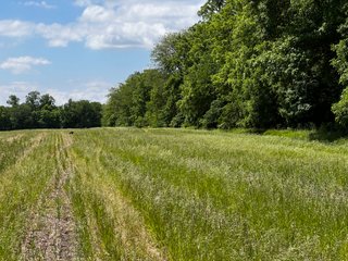 <li>Road Frontage on Bass and Eme Roads
<li>Just South of Arcola
<li>Mostly Tillable & Woods
<li>Residential Development Potential
<lI>Northwest Allen County Schools<br><bR>
<b>UTILITIES</b><br>
Electric - Indiana Michigan Power Company
Sewer - Aqua Indiana & City Utilities
Water - City Utilities - 144+/- ACRES FOR SALE IN ALLEN COUNTY, INDIANA - PRICE REDUCED