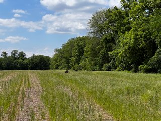 <li>Road Frontage on Bass and Eme Roads
<li>Just South of Arcola
<li>Mostly Tillable & Woods
<li>Residential Development Potential
<lI>Northwest Allen County Schools<br><bR>
<b>UTILITIES</b><br>
Electric - Indiana Michigan Power Company
Sewer - Aqua Indiana & City Utilities
Water - City Utilities - 144+/- ACRES FOR SALE IN ALLEN COUNTY, INDIANA - PRICE REDUCED