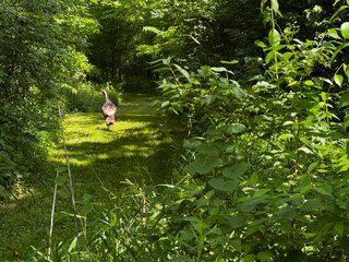 <li>Road Frontage on Bass and Eme Roads
<li>Just South of Arcola
<li>Mostly Tillable & Woods
<li>Residential Development Potential
<lI>Northwest Allen County Schools<br><bR>
<b>UTILITIES</b><br>
Electric - Indiana Michigan Power Company
Sewer - Aqua Indiana & City Utilities
Water - City Utilities - 144+/- ACRES FOR SALE IN ALLEN COUNTY, INDIANA - PRICE REDUCED