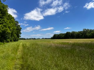 <li>Road Frontage on Bass and Eme Roads
<li>Just South of Arcola
<li>Mostly Tillable & Woods
<li>Residential Development Potential
<lI>Northwest Allen County Schools<br><bR>
<b>UTILITIES</b><br>
Electric - Indiana Michigan Power Company
Sewer - Aqua Indiana & City Utilities
Water - City Utilities - 144+/- ACRES FOR SALE IN ALLEN COUNTY, INDIANA - PRICE REDUCED