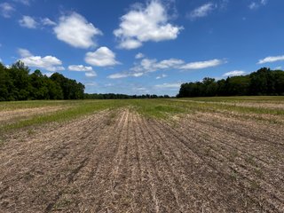 <li>Road Frontage on Bass and Eme Roads
<li>Just South of Arcola
<li>Mostly Tillable & Woods
<li>Residential Development Potential
<lI>Northwest Allen County Schools<br><bR>
<b>UTILITIES</b><br>
Electric - Indiana Michigan Power Company
Sewer - Aqua Indiana & City Utilities
Water - City Utilities - 144+/- ACRES FOR SALE IN ALLEN COUNTY, INDIANA - PRICE REDUCED