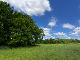 <li>Road Frontage on Bass and Eme Roads
<li>Just South of Arcola
<li>Mostly Tillable & Woods
<li>Residential Development Potential
<lI>Northwest Allen County Schools<br><bR>
<b>UTILITIES</b><br>
Electric - Indiana Michigan Power Company
Sewer - Aqua Indiana & City Utilities
Water - City Utilities - 144+/- ACRES FOR SALE IN ALLEN COUNTY, INDIANA - PRICE REDUCED