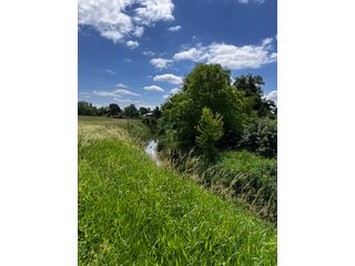 <li>Road Frontage on Bass and Eme Roads
<li>Just South of Arcola
<li>Mostly Tillable & Woods
<li>Residential Development Potential
<lI>Northwest Allen County Schools<br><bR>
<b>UTILITIES</b><br>
Electric - Indiana Michigan Power Company
Sewer - Aqua Indiana & City Utilities
Water - City Utilities - 144+/- ACRES FOR SALE IN ALLEN COUNTY, INDIANA - PRICE REDUCED
