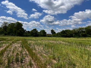<li>Road Frontage on Bass and Eme Roads
<li>Just South of Arcola
<li>Mostly Tillable & Woods
<li>Residential Development Potential
<lI>Northwest Allen County Schools<br><bR>
<b>UTILITIES</b><br>
Electric - Indiana Michigan Power Company
Sewer - Aqua Indiana & City Utilities
Water - City Utilities - 144+/- ACRES FOR SALE IN ALLEN COUNTY, INDIANA - PRICE REDUCED