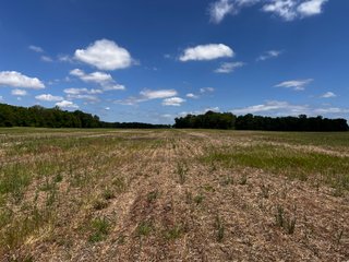 <li>Road Frontage on Bass and Eme Roads
<li>Just South of Arcola
<li>Mostly Tillable & Woods
<li>Residential Development Potential
<lI>Northwest Allen County Schools<br><bR>
<b>UTILITIES</b><br>
Electric - Indiana Michigan Power Company
Sewer - Aqua Indiana & City Utilities
Water - City Utilities - 144+/- ACRES FOR SALE IN ALLEN COUNTY, INDIANA - PRICE REDUCED