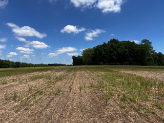 <li>Road Frontage on Bass and Eme Roads
<li>Just South of Arcola
<li>Mostly Tillable & Woods
<li>Residential Development Potential
<lI>Northwest Allen County Schools<br><bR>
<b>UTILITIES</b><br>
Electric - Indiana Michigan Power Company
Sewer - Aqua Indiana & City Utilities
Water - City Utilities - 144+/- ACRES FOR SALE IN ALLEN COUNTY, INDIANA - PRICE REDUCED