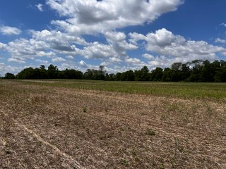 <li>Road Frontage on Bass and Eme Roads
<li>Just South of Arcola
<li>Mostly Tillable & Woods
<li>Residential Development Potential
<lI>Northwest Allen County Schools<br><bR>
<b>UTILITIES</b><br>
Electric - Indiana Michigan Power Company
Sewer - Aqua Indiana & City Utilities
Water - City Utilities - 144+/- ACRES FOR SALE IN ALLEN COUNTY, INDIANA - PRICE REDUCED