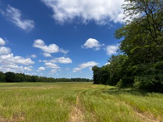 <li>Road Frontage on Bass and Eme Roads
<li>Just South of Arcola
<li>Mostly Tillable & Woods
<li>Residential Development Potential
<lI>Northwest Allen County Schools<br><bR>
<b>UTILITIES</b><br>
Electric - Indiana Michigan Power Company
Sewer - Aqua Indiana & City Utilities
Water - City Utilities - 144+/- ACRES FOR SALE IN ALLEN COUNTY, INDIANA - PRICE REDUCED
