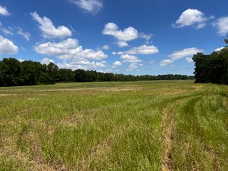 <li>Road Frontage on Bass and Eme Roads
<li>Just South of Arcola
<li>Mostly Tillable & Woods
<li>Residential Development Potential
<lI>Northwest Allen County Schools<br><bR>
<b>UTILITIES</b><br>
Electric - Indiana Michigan Power Company
Sewer - Aqua Indiana & City Utilities
Water - City Utilities - 144+/- ACRES FOR SALE IN ALLEN COUNTY, INDIANA - PRICE REDUCED