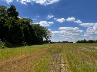 <li>Road Frontage on Bass and Eme Roads
<li>Just South of Arcola
<li>Mostly Tillable & Woods
<li>Residential Development Potential
<lI>Northwest Allen County Schools<br><bR>
<b>UTILITIES</b><br>
Electric - Indiana Michigan Power Company
Sewer - Aqua Indiana & City Utilities
Water - City Utilities - 144+/- ACRES FOR SALE IN ALLEN COUNTY, INDIANA - PRICE REDUCED