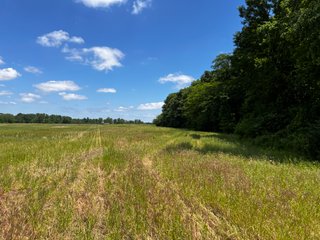 <li>Road Frontage on Bass and Eme Roads
<li>Just South of Arcola
<li>Mostly Tillable & Woods
<li>Residential Development Potential
<lI>Northwest Allen County Schools<br><bR>
<b>UTILITIES</b><br>
Electric - Indiana Michigan Power Company
Sewer - Aqua Indiana & City Utilities
Water - City Utilities - 144+/- ACRES FOR SALE IN ALLEN COUNTY, INDIANA - PRICE REDUCED