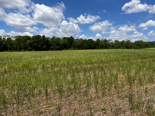 <li>Road Frontage on Bass and Eme Roads
<li>Just South of Arcola
<li>Mostly Tillable & Woods
<li>Residential Development Potential
<lI>Northwest Allen County Schools<br><bR>
<b>UTILITIES</b><br>
Electric - Indiana Michigan Power Company
Sewer - Aqua Indiana & City Utilities
Water - City Utilities - 144+/- ACRES FOR SALE IN ALLEN COUNTY, INDIANA - PRICE REDUCED