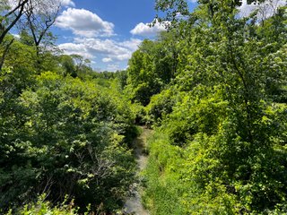 <li>Road Frontage on Bass and Eme Roads
<li>Just South of Arcola
<li>Mostly Tillable & Woods
<li>Residential Development Potential
<lI>Northwest Allen County Schools<br><bR>
<b>UTILITIES</b><br>
Electric - Indiana Michigan Power Company
Sewer - Aqua Indiana & City Utilities
Water - City Utilities - 144+/- ACRES FOR SALE IN ALLEN COUNTY, INDIANA - PRICE REDUCED