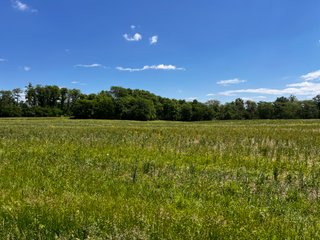 <li>Road Frontage on Bass and Eme Roads
<li>Just South of Arcola
<li>Mostly Tillable & Woods
<li>Residential Development Potential
<lI>Northwest Allen County Schools<br><bR>
<b>UTILITIES</b><br>
Electric - Indiana Michigan Power Company
Sewer - Aqua Indiana & City Utilities
Water - City Utilities - 144+/- ACRES FOR SALE IN ALLEN COUNTY, INDIANA - PRICE REDUCED