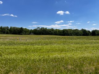 <li>Road Frontage on Bass and Eme Roads
<li>Just South of Arcola
<li>Mostly Tillable & Woods
<li>Residential Development Potential
<lI>Northwest Allen County Schools<br><bR>
<b>UTILITIES</b><br>
Electric - Indiana Michigan Power Company
Sewer - Aqua Indiana & City Utilities
Water - City Utilities - 144+/- ACRES FOR SALE IN ALLEN COUNTY, INDIANA - PRICE REDUCED