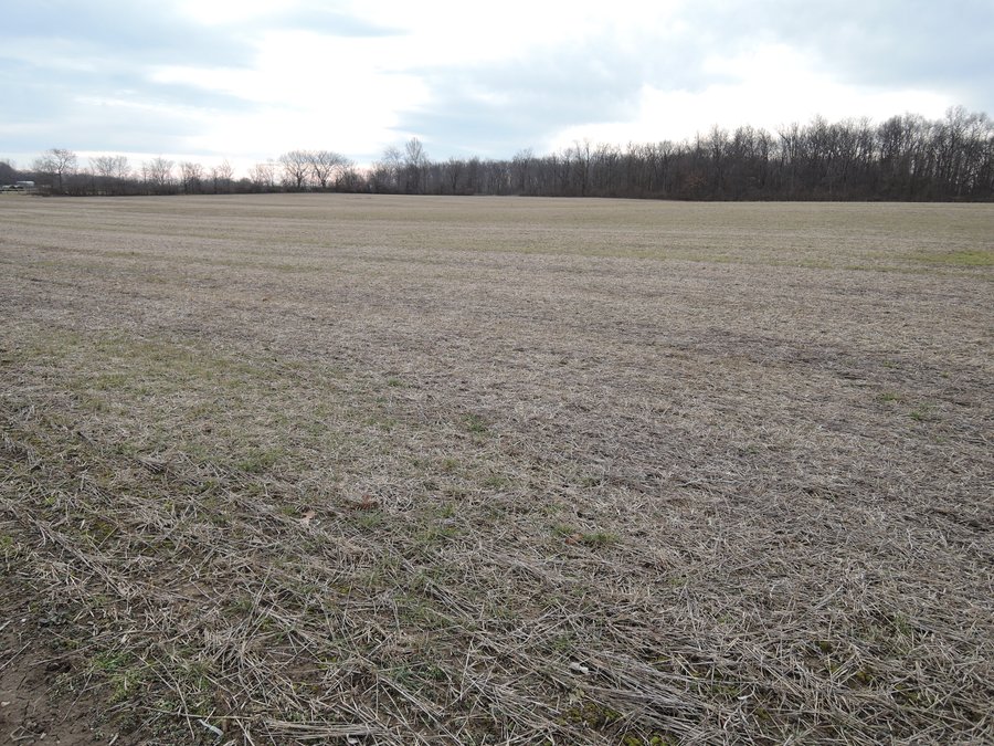 For sale: 13+/- ACRES OF QUALITY CROP LAND FOR SALE IN DELAWARE COUNTY, INDIANA - 5451 East County Road 500 North, Albany, IN - Delaware County, IN