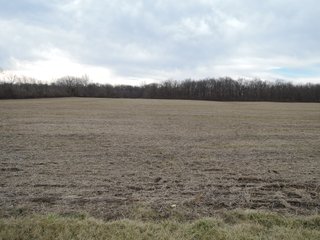 All Tillable with Quality Soils<br>
Approximately 3 miles NE of Muncie along CR 500 North.<br>
Delaware Community Schools (Delta)<br>

<li>Excellent tract with good access to add to your operation
<li>Attractive mini-farm or estate-size building tract
<li>Convenient to Muncie area
<li>Delaware County, Section 19, Delaware Township
<li>Estimating 13.0+/- Tillable Acres
<li>2024 Crop rights to the buyer
 - 13+/- ACRES OF QUALITY CROP LAND FOR SALE IN DELAWARE COUNTY, INDIANA