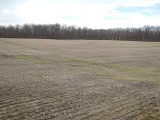 All Tillable with Quality Soils<br>
Approximately 3 miles NE of Muncie along CR 500 North.<br>
Delaware Community Schools (Delta)<br>

<li>Excellent tract with good access to add to your operation
<li>Attractive mini-farm or estate-size building tract
<li>Convenient to Muncie area
<li>Delaware County, Section 19, Delaware Township
<li>Estimating 13.0+/- Tillable Acres
<li>2024 Crop rights to the buyer
 - 13+/- ACRES OF QUALITY CROP LAND FOR SALE IN DELAWARE COUNTY, INDIANA