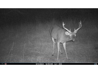 Property photo 6 - 201+/- ACRES OF HUNTING LAND FOR AUCTION IN CARROLL COUNTY KY