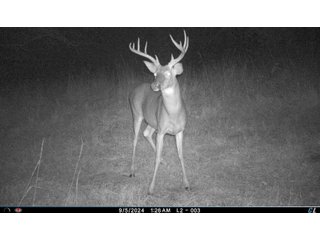 Property photo 13 - 201+/- ACRES OF HUNTING LAND FOR AUCTION IN CARROLL COUNTY KY