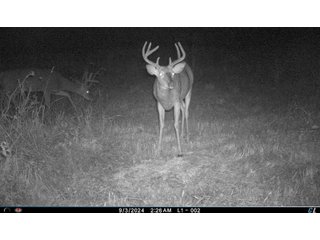 Property photo 15 - 201+/- ACRES OF HUNTING LAND FOR AUCTION IN CARROLL COUNTY KY