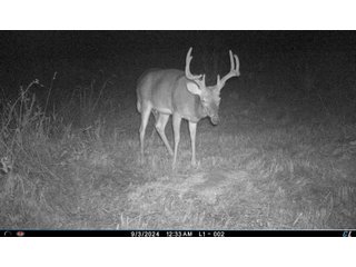Property photo 18 - 201+/- ACRES OF HUNTING LAND FOR AUCTION IN CARROLL COUNTY KY