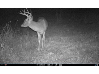 Property photo 20 - 201+/- ACRES OF HUNTING LAND FOR AUCTION IN CARROLL COUNTY KY