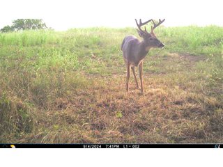 Property photo 25 - 201+/- ACRES OF HUNTING LAND FOR AUCTION IN CARROLL COUNTY KY
