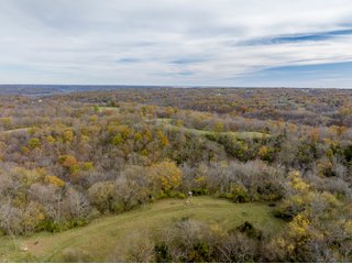Property photo 7 - 201+/- ACRES OF HUNTING LAND FOR AUCTION IN CARROLL COUNTY KY