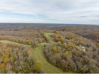 Property photo 9 - 201+/- ACRES OF HUNTING LAND FOR AUCTION IN CARROLL COUNTY KY