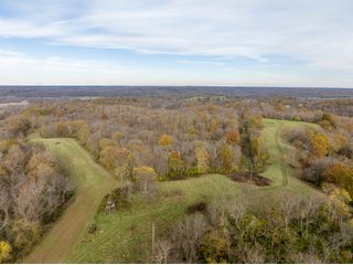 Property photo 1 - 201+/- ACRES OF HUNTING LAND FOR AUCTION IN CARROLL COUNTY KY