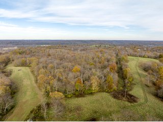 Property photo 10 - 201+/- ACRES OF HUNTING LAND FOR AUCTION IN CARROLL COUNTY KY