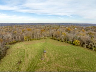 Property photo 11 - 201+/- ACRES OF HUNTING LAND FOR AUCTION IN CARROLL COUNTY KY