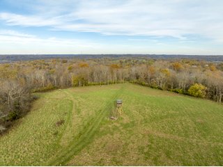 Property photo 12 - 201+/- ACRES OF HUNTING LAND FOR AUCTION IN CARROLL COUNTY KY
