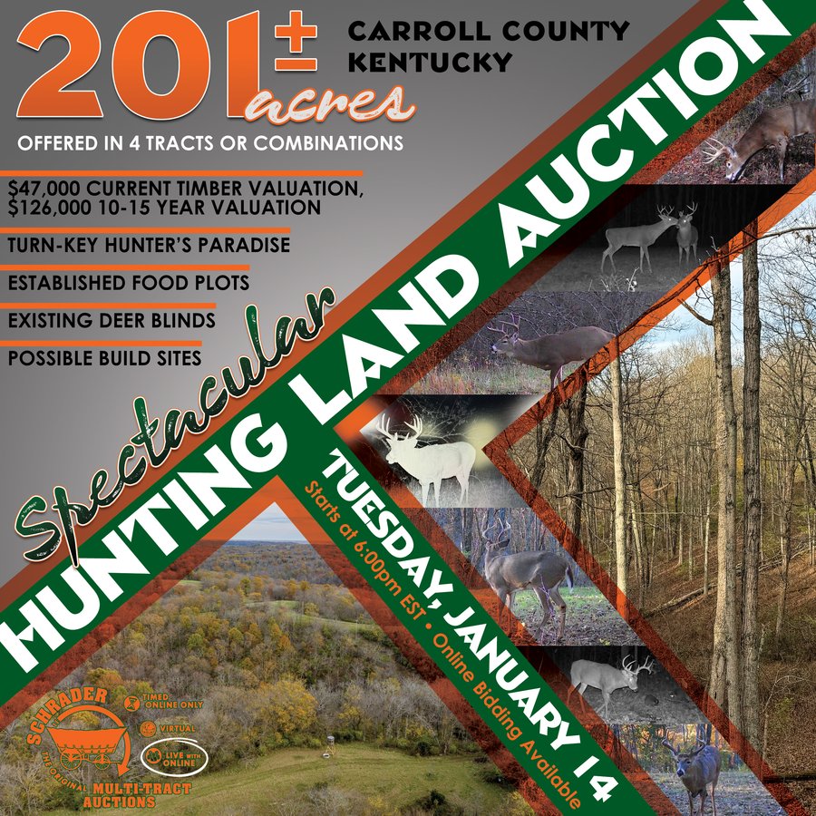 201+/- ACRES OF HUNTING LAND FOR AUCTION IN CARROLL COUNTY KY