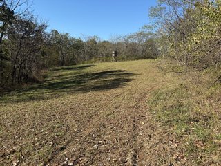 Property photo 110 - 201+/- ACRES OF HUNTING LAND FOR AUCTION IN CARROLL COUNTY KY