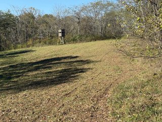 Property photo 111 - 201+/- ACRES OF HUNTING LAND FOR AUCTION IN CARROLL COUNTY KY