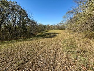 Property photo 112 - 201+/- ACRES OF HUNTING LAND FOR AUCTION IN CARROLL COUNTY KY