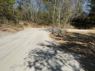 Property photo 118 - 201+/- ACRES OF HUNTING LAND FOR AUCTION IN CARROLL COUNTY KY