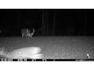 Property photo 29 - 201+/- ACRES OF HUNTING LAND FOR AUCTION IN CARROLL COUNTY KY