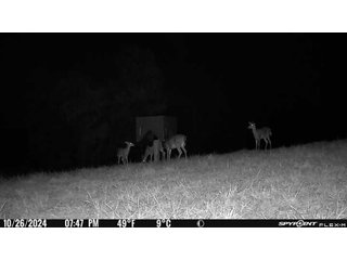 Property photo 30 - 201+/- ACRES OF HUNTING LAND FOR AUCTION IN CARROLL COUNTY KY