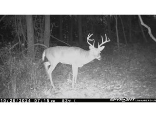 Property photo 31 - 201+/- ACRES OF HUNTING LAND FOR AUCTION IN CARROLL COUNTY KY