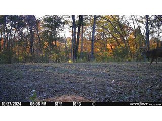 Property photo 32 - 201+/- ACRES OF HUNTING LAND FOR AUCTION IN CARROLL COUNTY KY