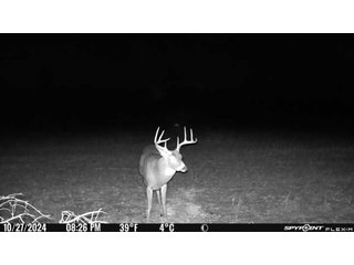 Property photo 35 - 201+/- ACRES OF HUNTING LAND FOR AUCTION IN CARROLL COUNTY KY