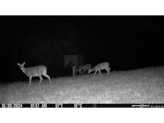 Property photo 37 - 201+/- ACRES OF HUNTING LAND FOR AUCTION IN CARROLL COUNTY KY