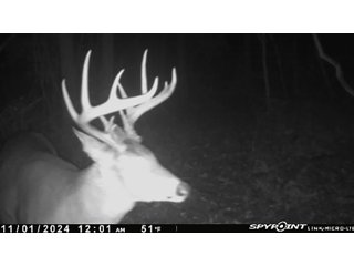 Property photo 38 - 201+/- ACRES OF HUNTING LAND FOR AUCTION IN CARROLL COUNTY KY