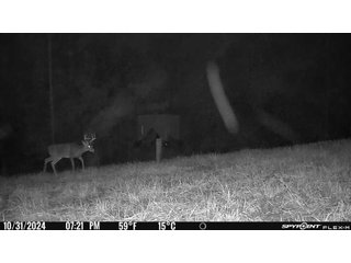 Property photo 41 - 201+/- ACRES OF HUNTING LAND FOR AUCTION IN CARROLL COUNTY KY
