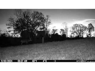 Property photo 47 - 201+/- ACRES OF HUNTING LAND FOR AUCTION IN CARROLL COUNTY KY