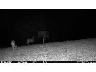Property photo 48 - 201+/- ACRES OF HUNTING LAND FOR AUCTION IN CARROLL COUNTY KY