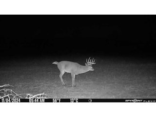 Property photo 51 - 201+/- ACRES OF HUNTING LAND FOR AUCTION IN CARROLL COUNTY KY